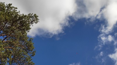 21-06-13 Fränk.Schweiz  (15).jpg