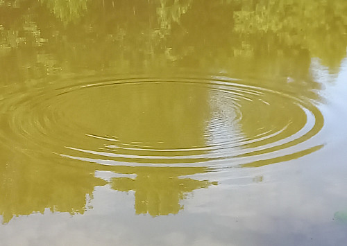 »Alles, was wir tun, zieht Kreise«