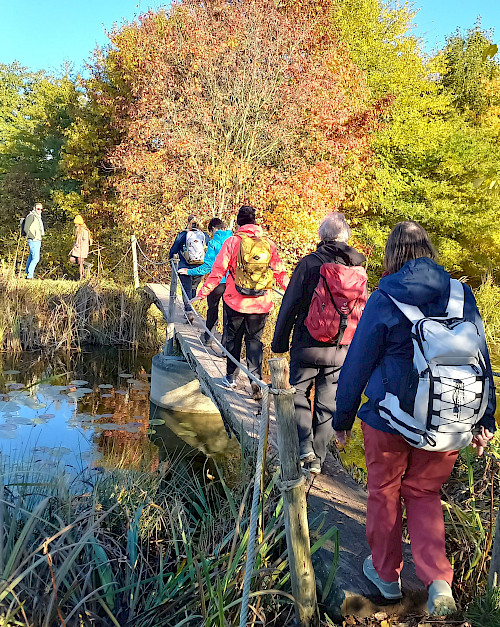Der sogenannte „Tharandter Summer“